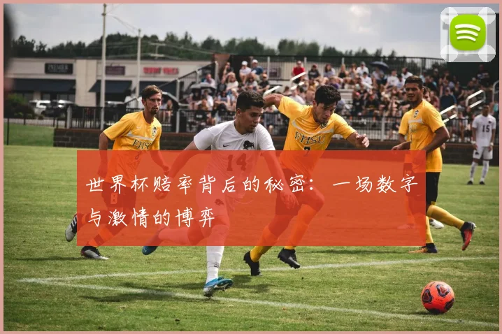 世界杯赔率背后的秘密:一场数字与激情的博弈