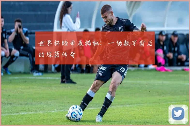世界杯赔率表揭秘：一场数字背后的绿茵传奇