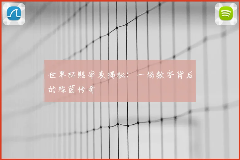 世界杯赔率表揭秘：一场数字背后的绿茵传奇