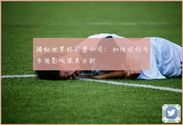 揭秘世界杯彩票公司：如何运作与市场影响深度分析