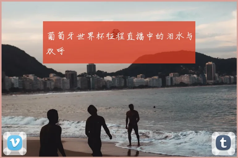 葡萄牙世界杯征程直播中的泪水与欢呼