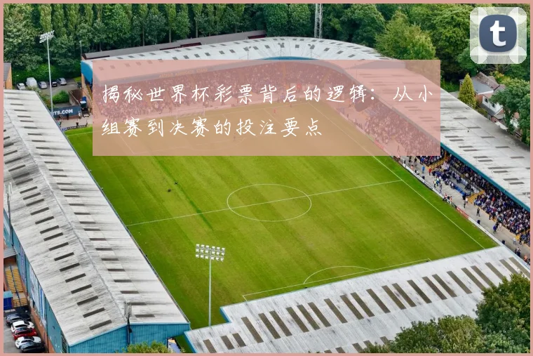 揭秘世界杯彩票背后的逻辑：从小组赛到决赛的投注要点