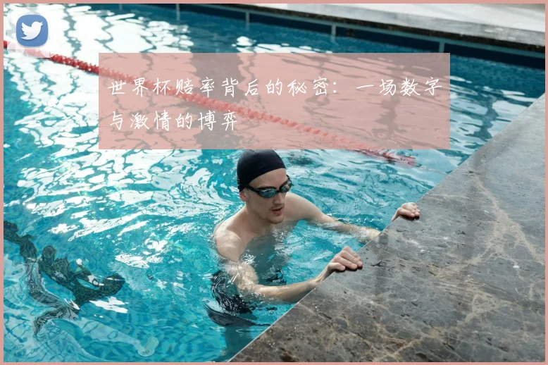 世界杯赔率背后的秘密：一场数字与激情的博弈