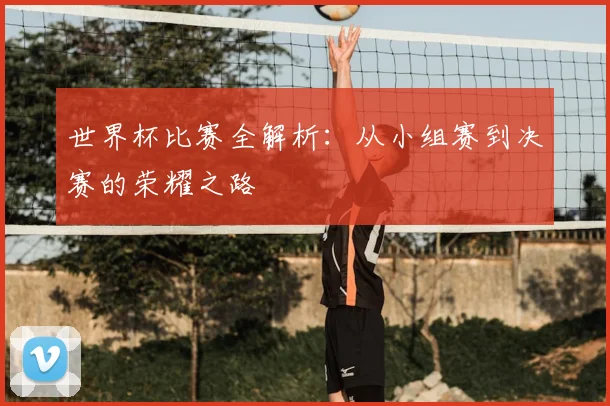 世界杯比赛全解析：从小组赛到决赛的荣耀之路