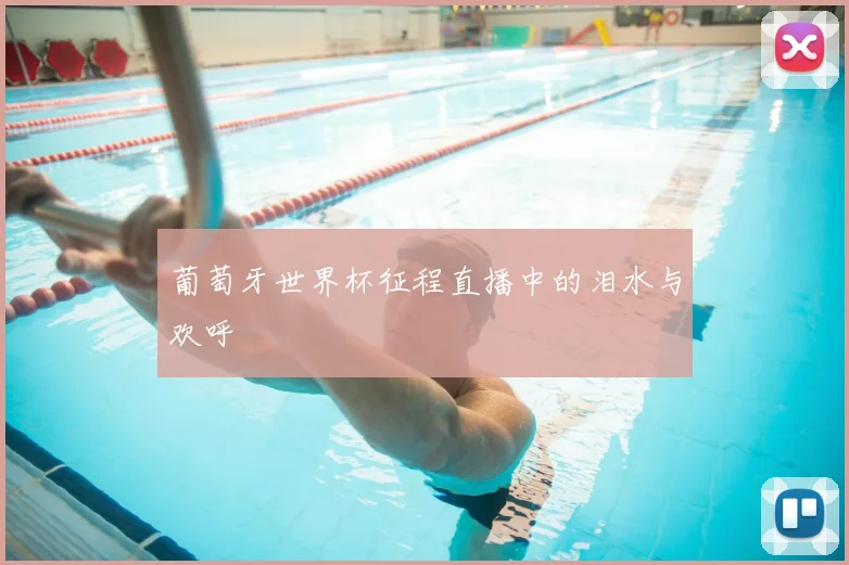 葡萄牙世界杯征程直播中的泪水与欢呼