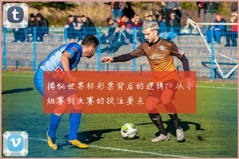 揭秘世界杯彩票背后的逻辑：从小组赛到决赛的投注要点