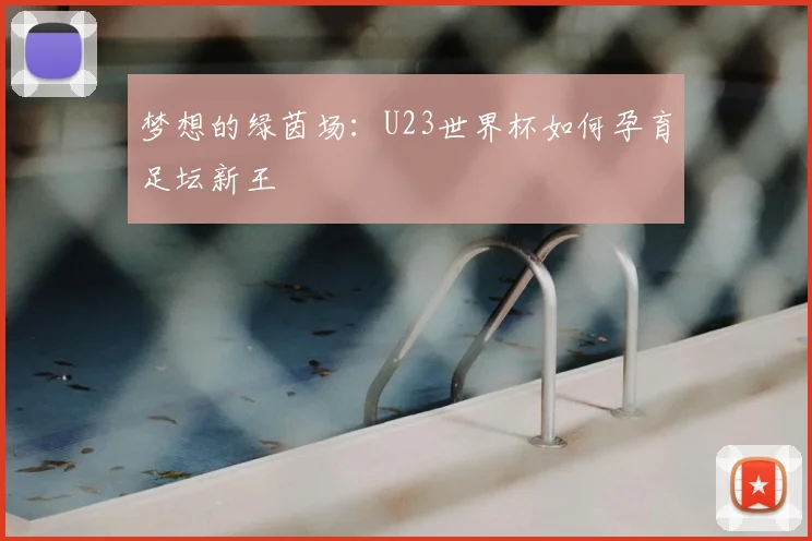 梦想的绿茵场：U23世界杯如何孕育足坛新王