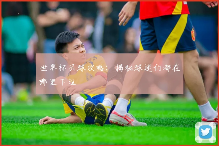 世界杯买球攻略：揭秘球迷们都在哪里下注