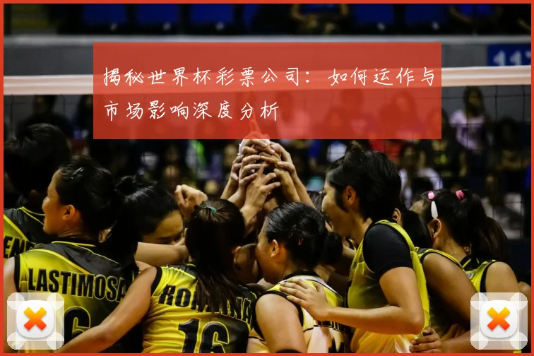揭秘世界杯彩票公司：如何运作与市场影响深度分析