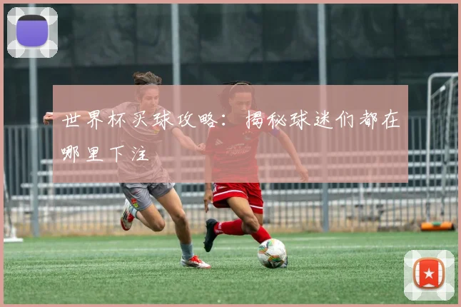 世界杯买球攻略：揭秘球迷们都在哪里下注