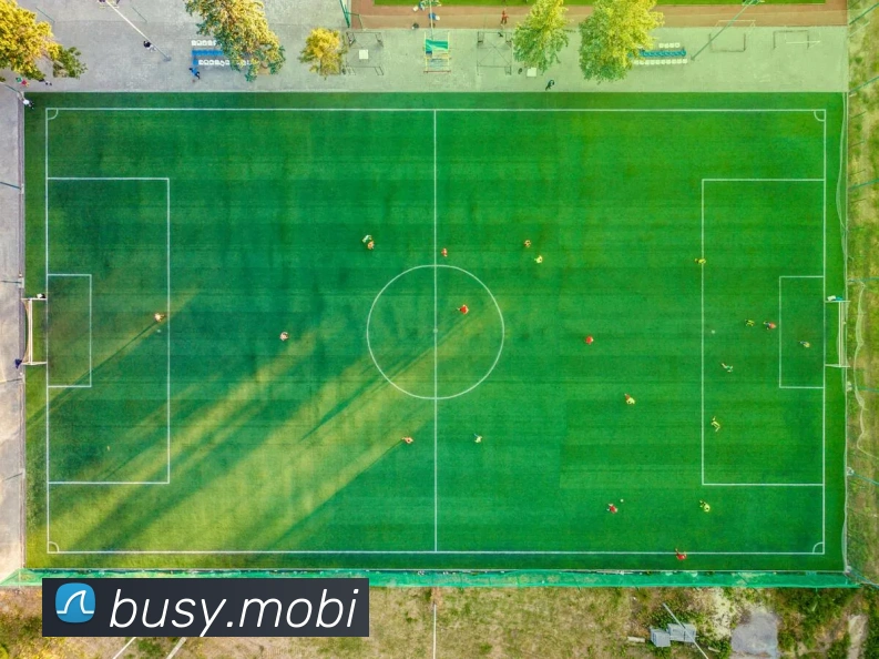 mksports在线登录入口平台生态图