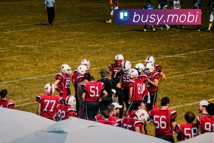 开云官方登陆入口发展历程